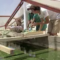 Mit Kompass und Köpfchen auf hoher See Thumbnail