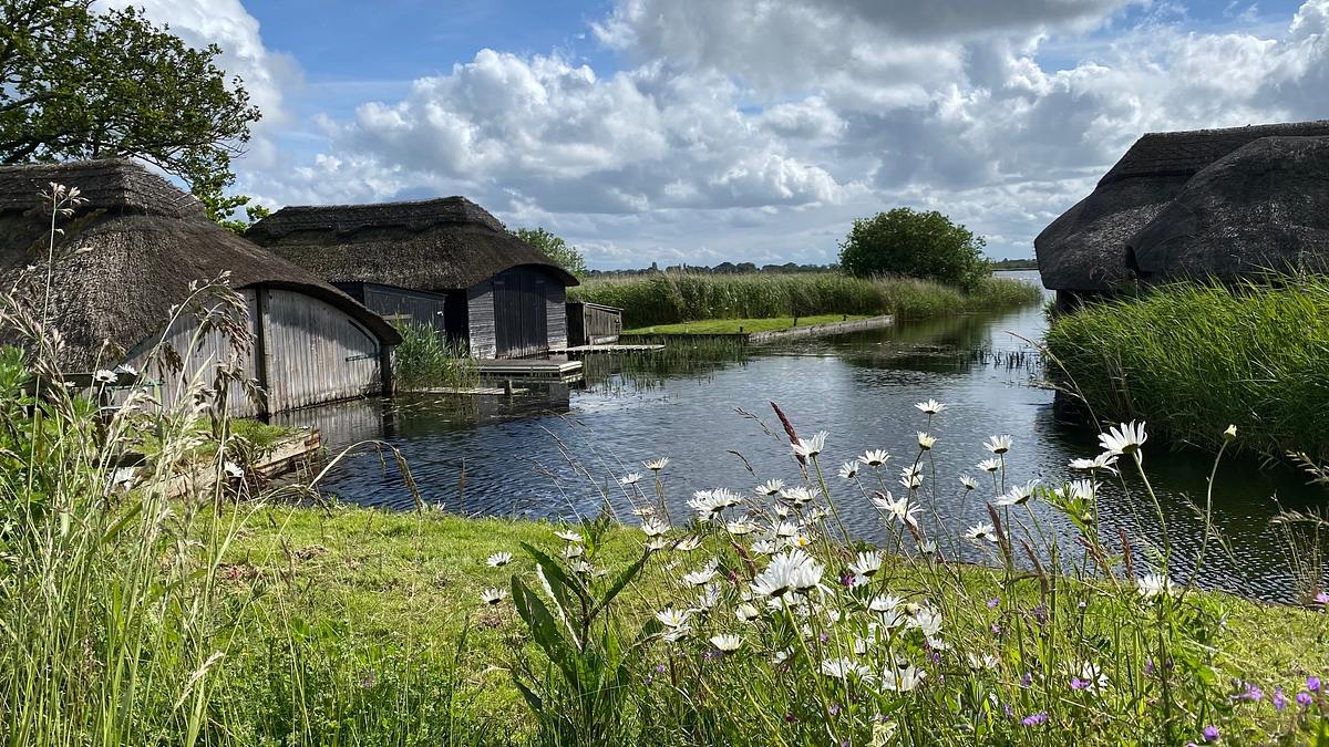 leben an der nordsee