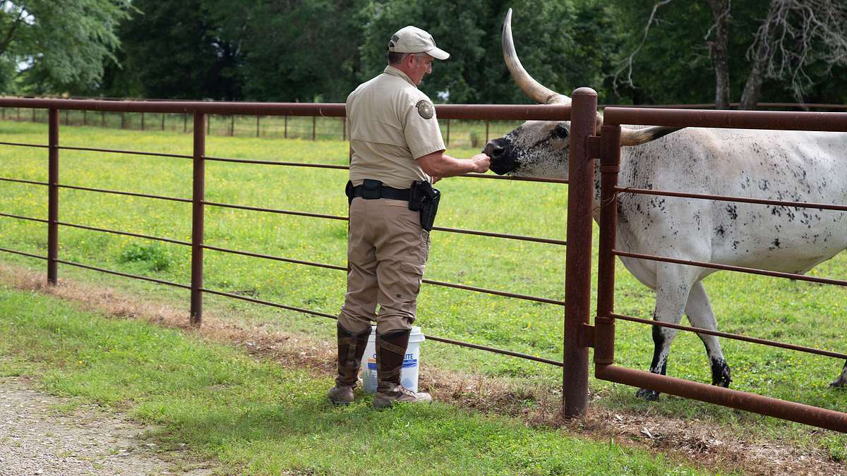 lone star law - die gesetzeshüter von texas