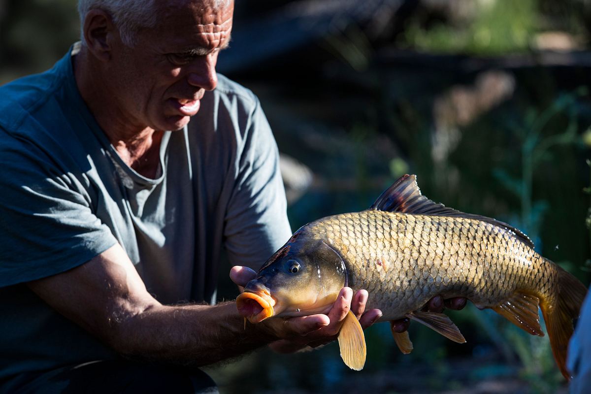 Dark Waters mit Jeremy Wade dark waters mit jeremy wade