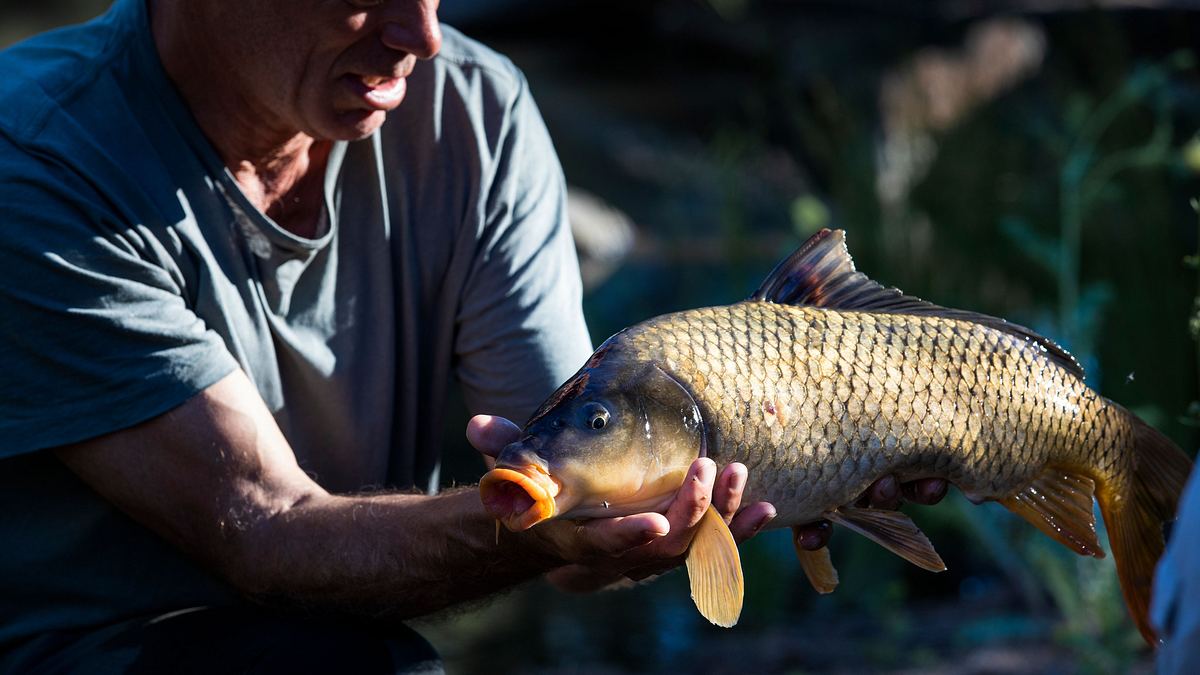 dark waters mit jeremy wade