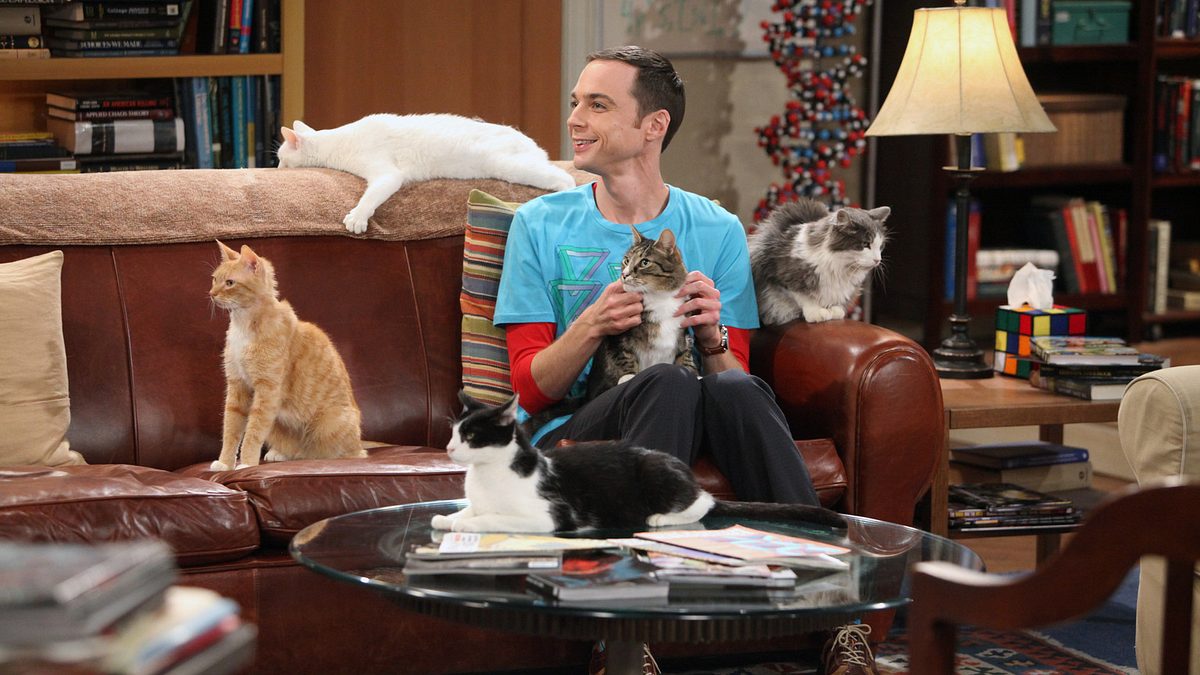 the big bang theory