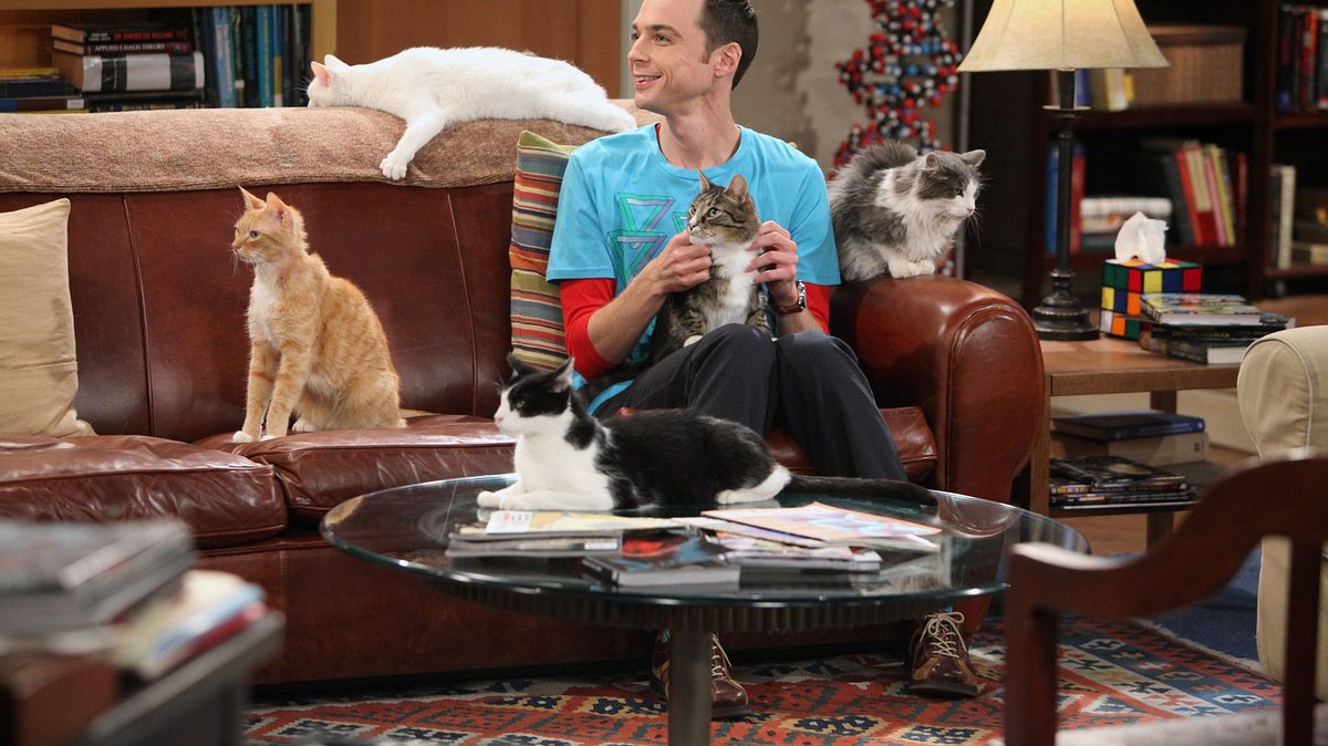 the big bang theory