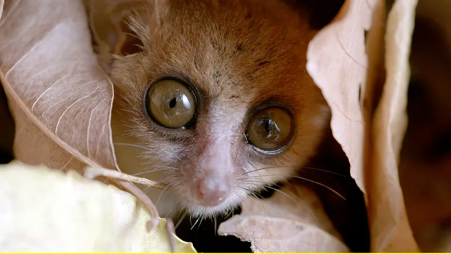 Unbekanntes Madagaskar unbekanntes madagaskar