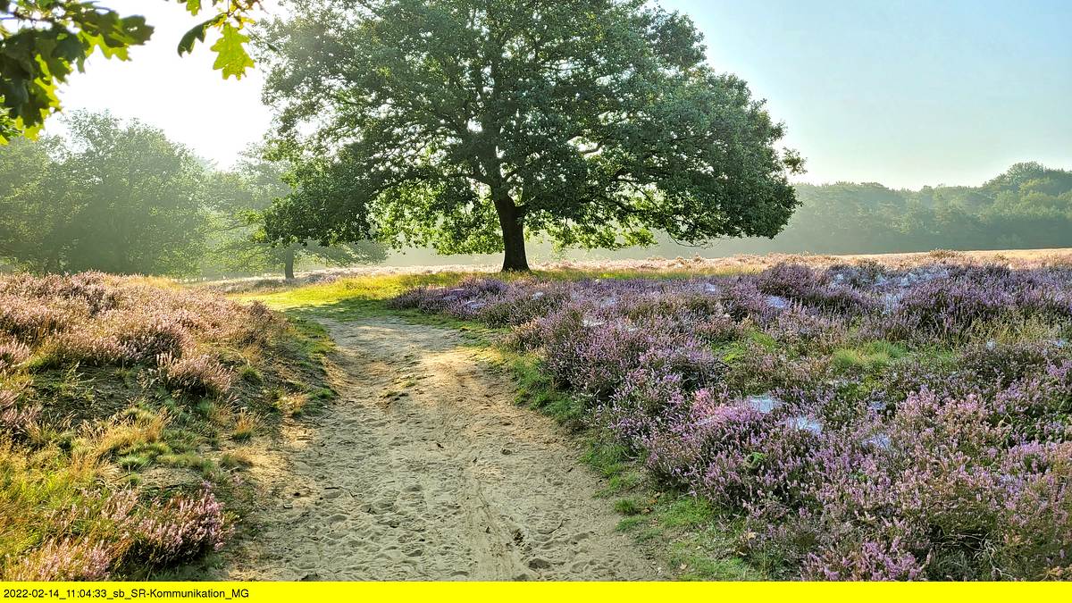 gelderland, da will ich hin!