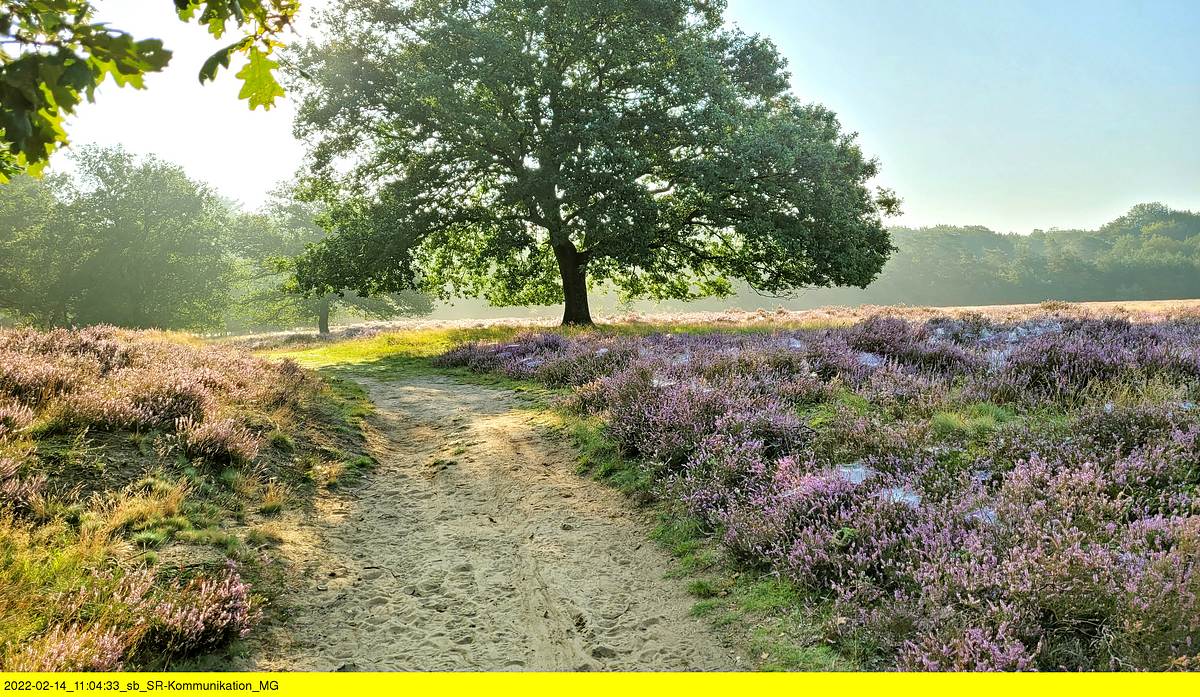 Gelderland, da will ich hin! gelderland, da will ich hin!