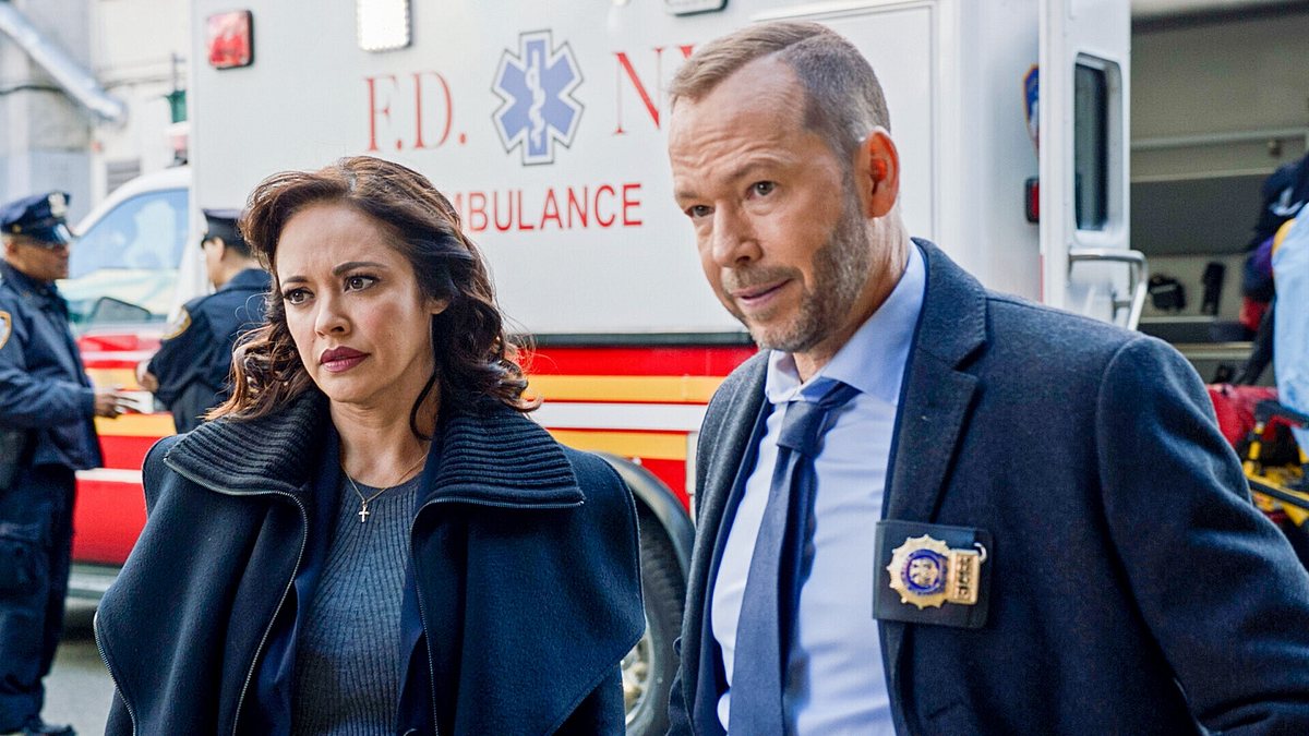 blue bloods - crime scene new york
