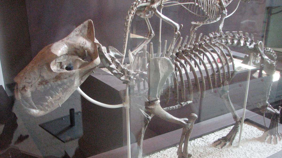 prähistorische raubtiere