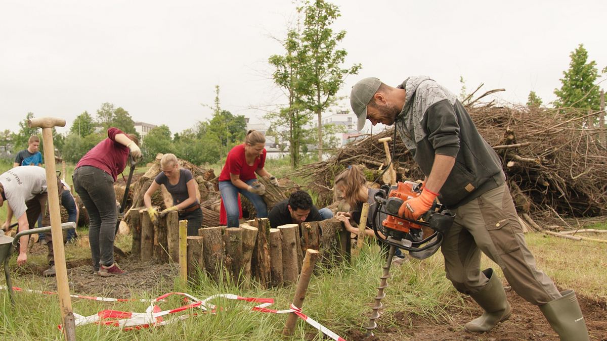 alpha-thema: projekt garten