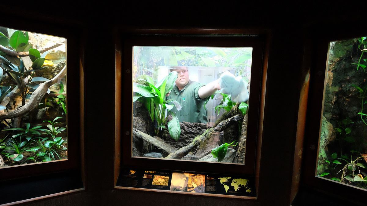 bronx zoo - tierpark der superlative