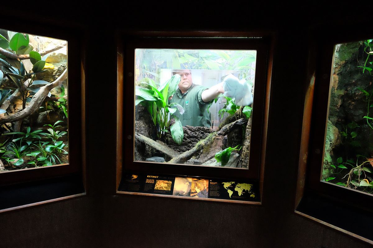 Bronx Zoo - Tierpark der Superlative bronx zoo - tierpark der superlative