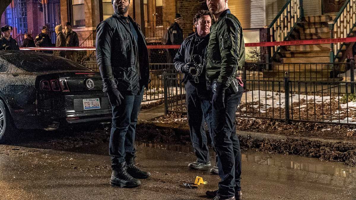 chicago p.d.