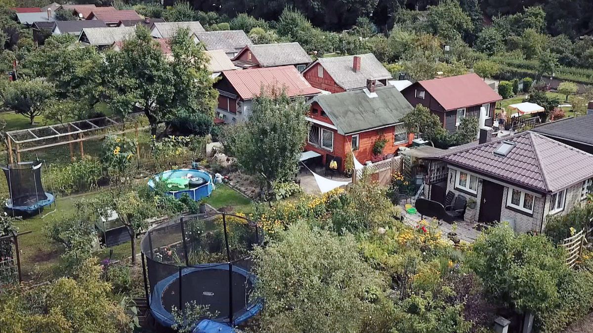der schrebergarten - ein blick über den zaun