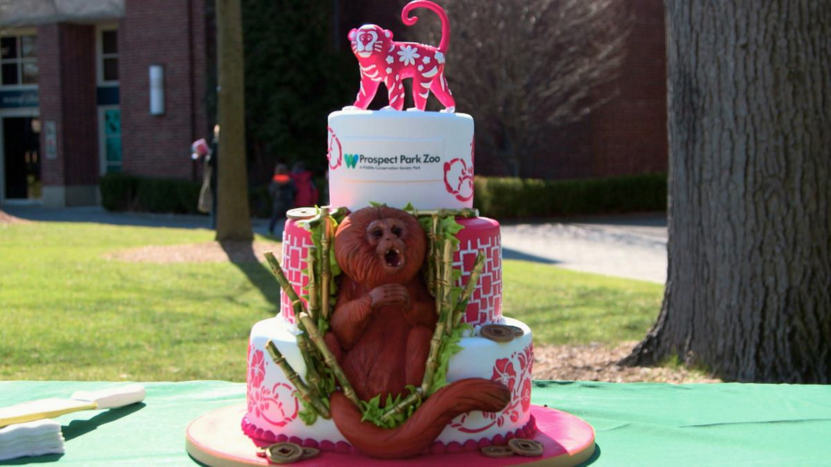 cake boss: buddys tortenwelt