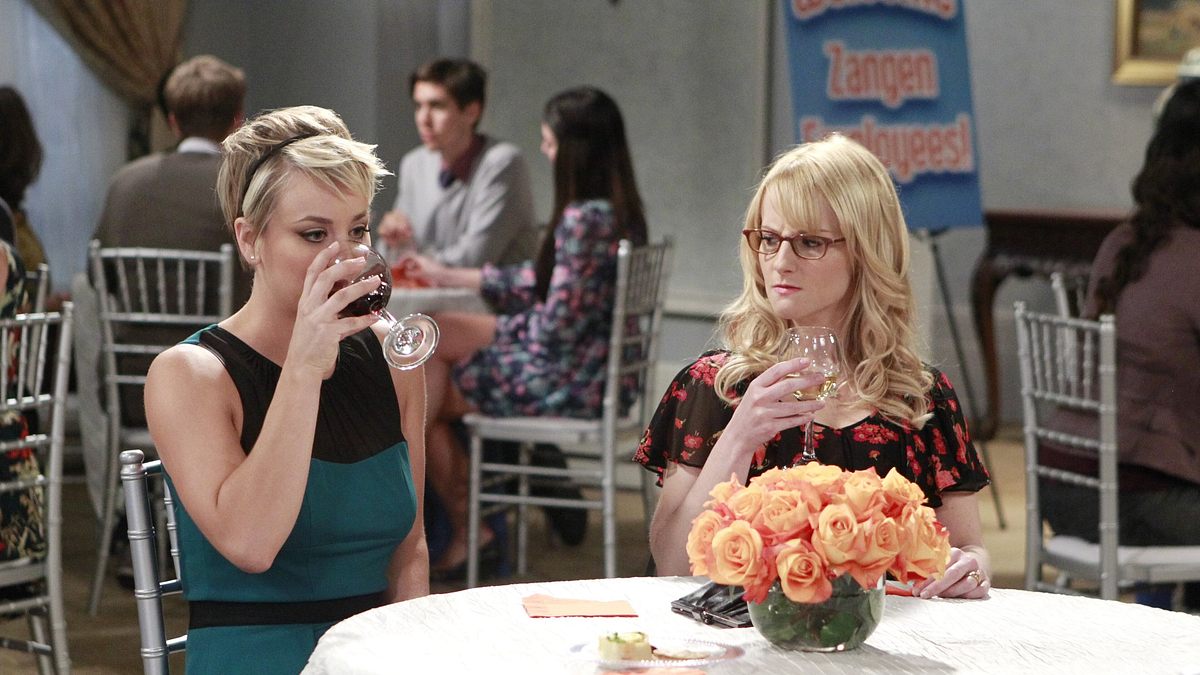 the big bang theory