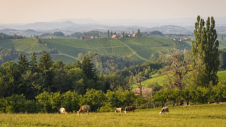 heimat österreich