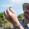 Tierische (R)Evolution Thumbnail