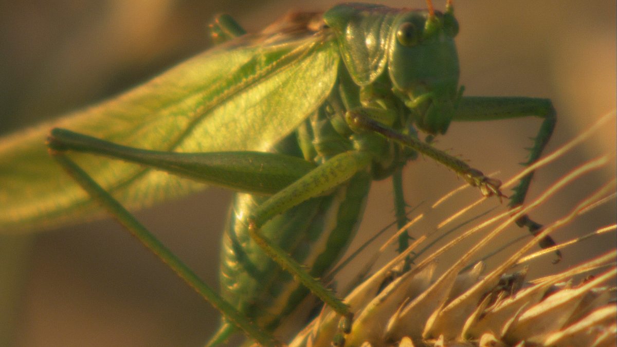 abenteuer wildnis
