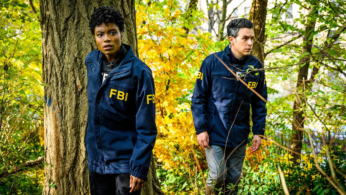 fbi: special crime unit