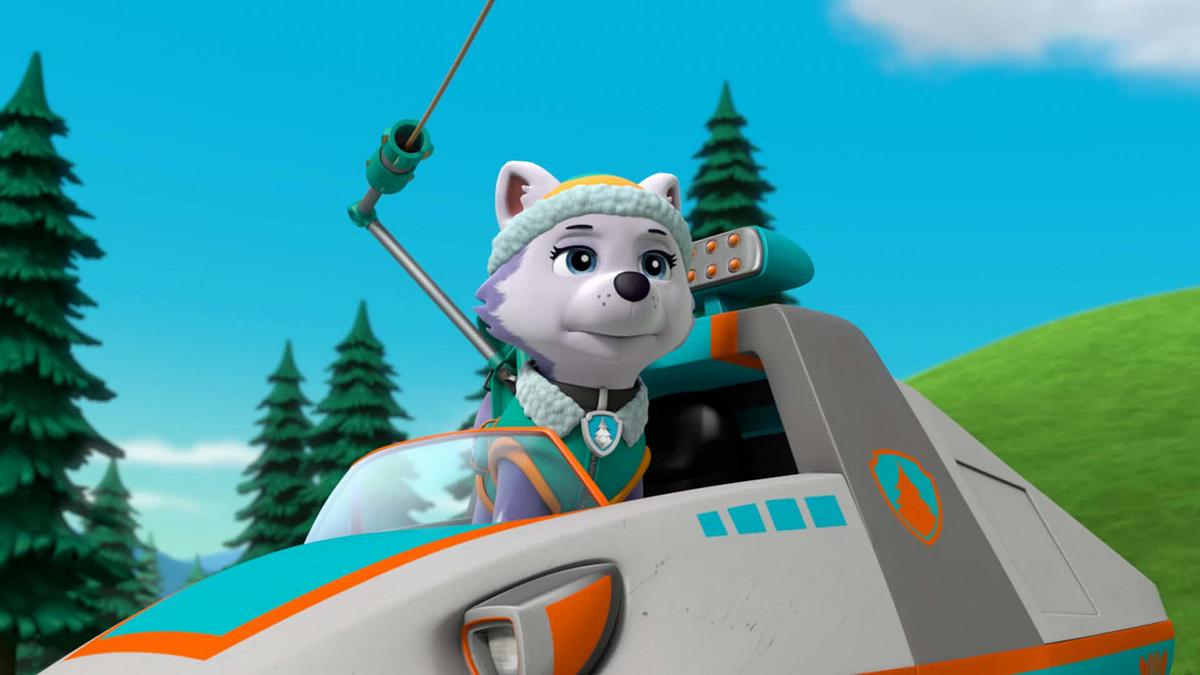 paw patrol - helfer auf vier pfoten