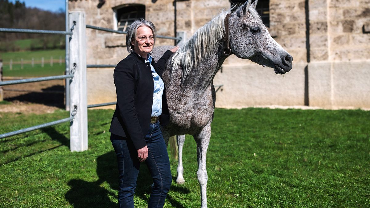 marbach - das gestüt, seine pferde und seine menschen