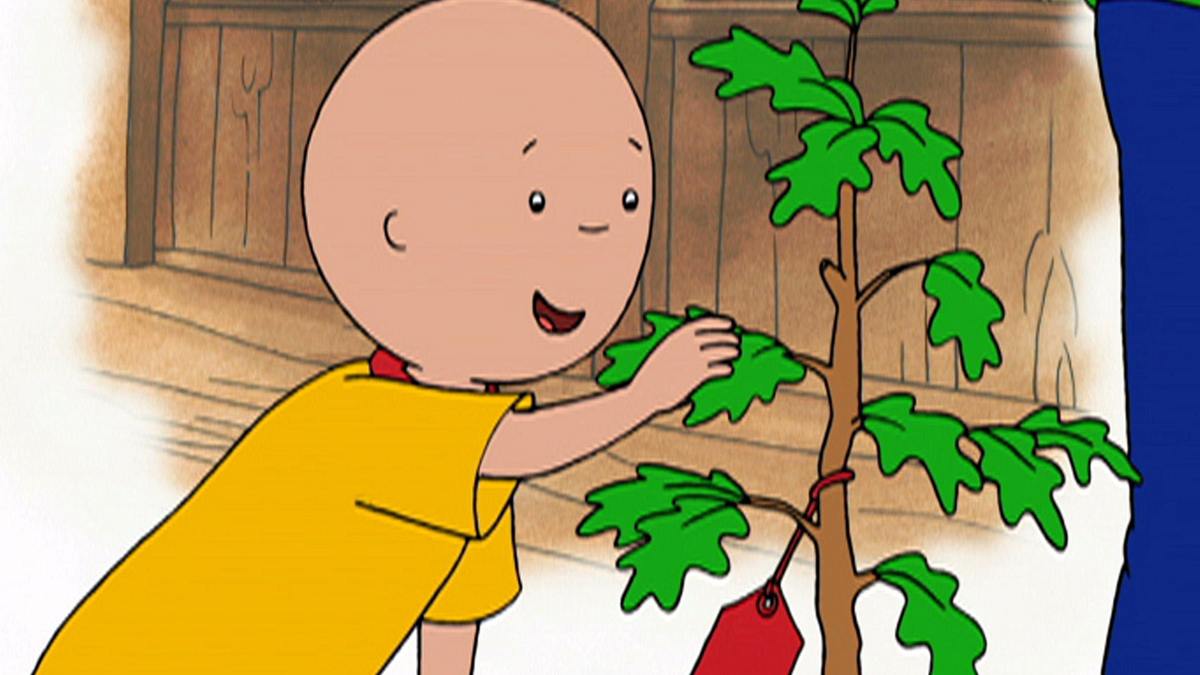 caillou