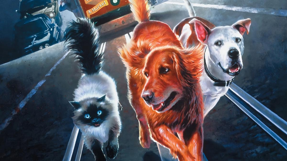 Ein tierisches Trio - Wieder unterwegs Ein tierisches Trio - Wieder unterwegs