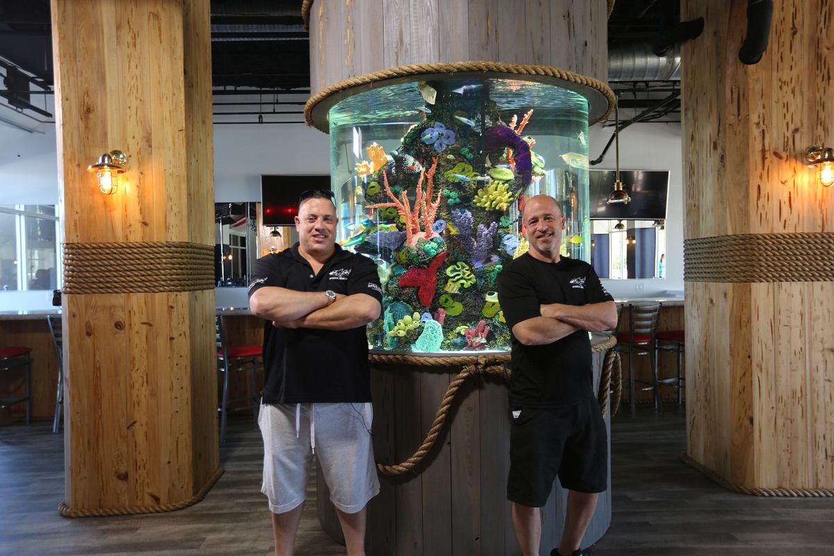 Die Aquarium-Profis die aquarium-profis