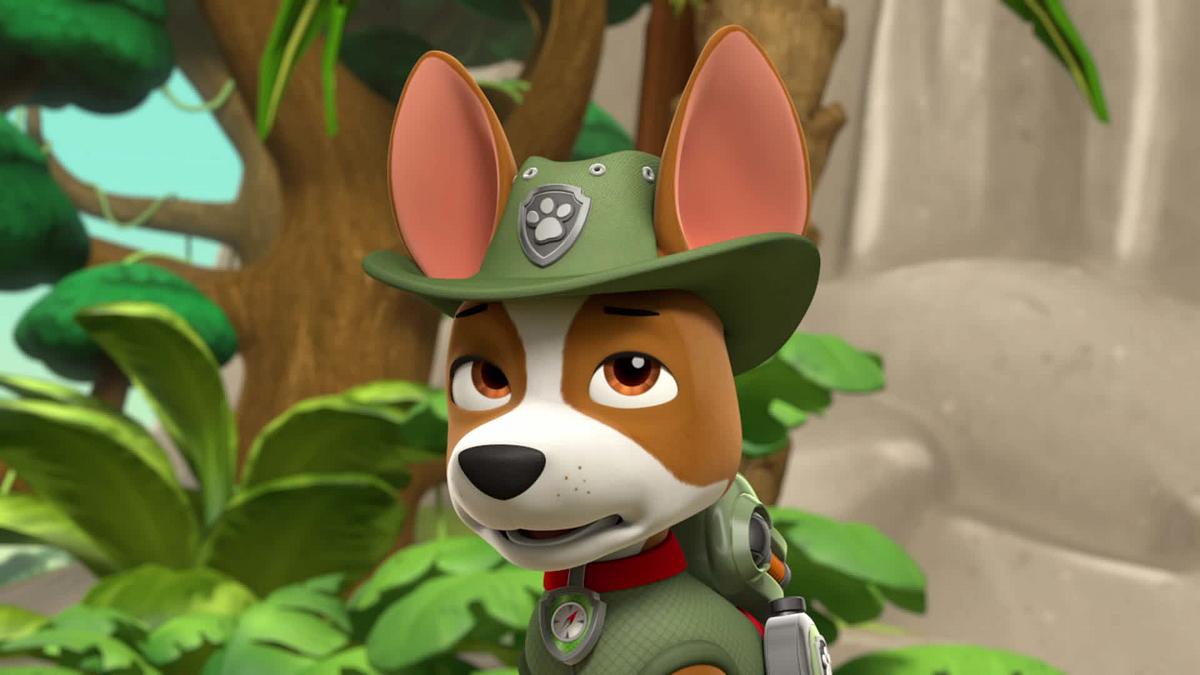 paw patrol - helfer auf vier pfoten