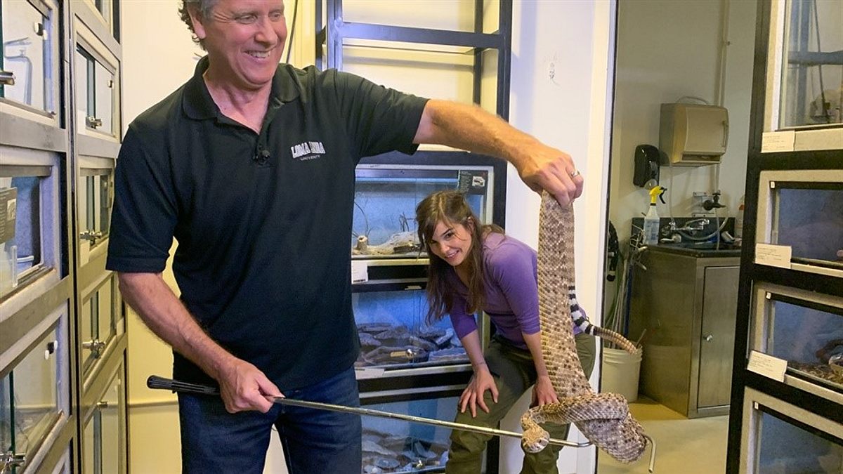 Anna und die wilden Tiere anna und die wilden tiere