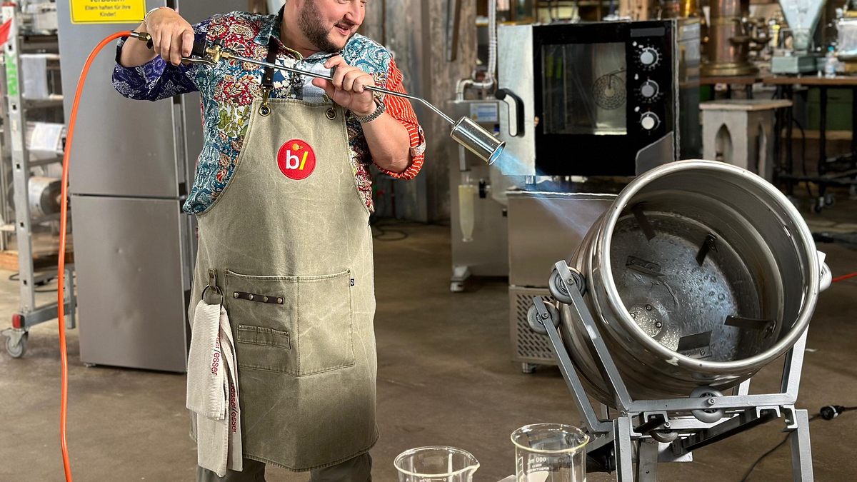 besseresser - sebastian lege deckt auf