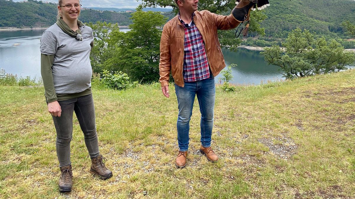 tobis urlaubstrip