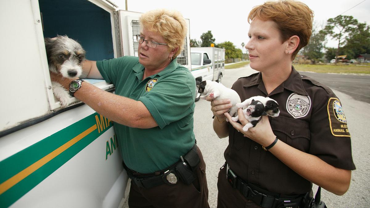 tierpolizei miami