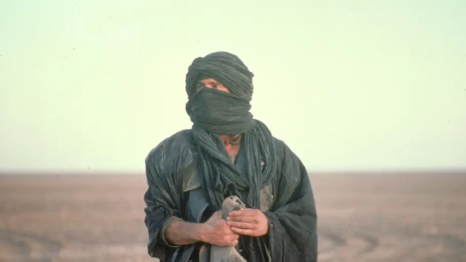 mad max - jenseits der donnerkuppel