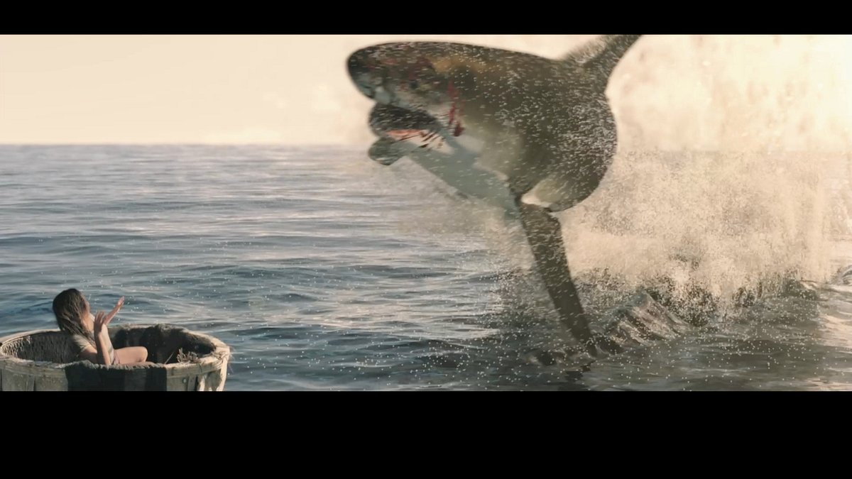 the requin - der hai