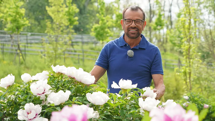 Natur im Garten natur im garten