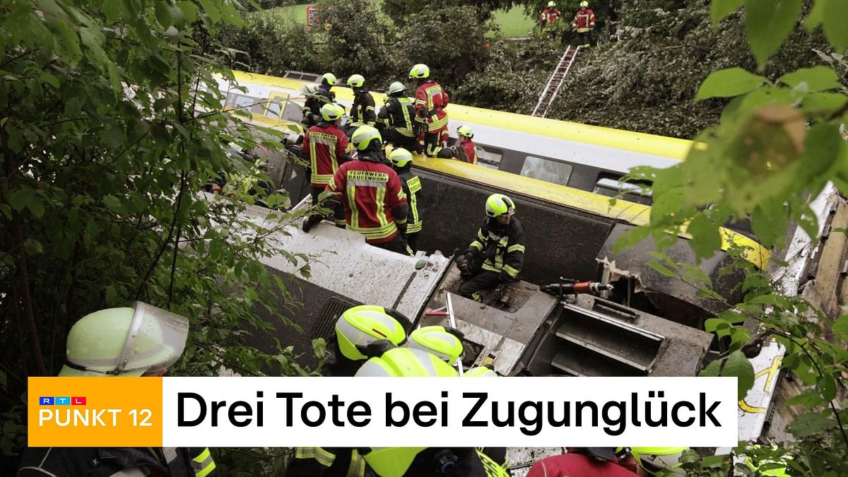 punkt 12