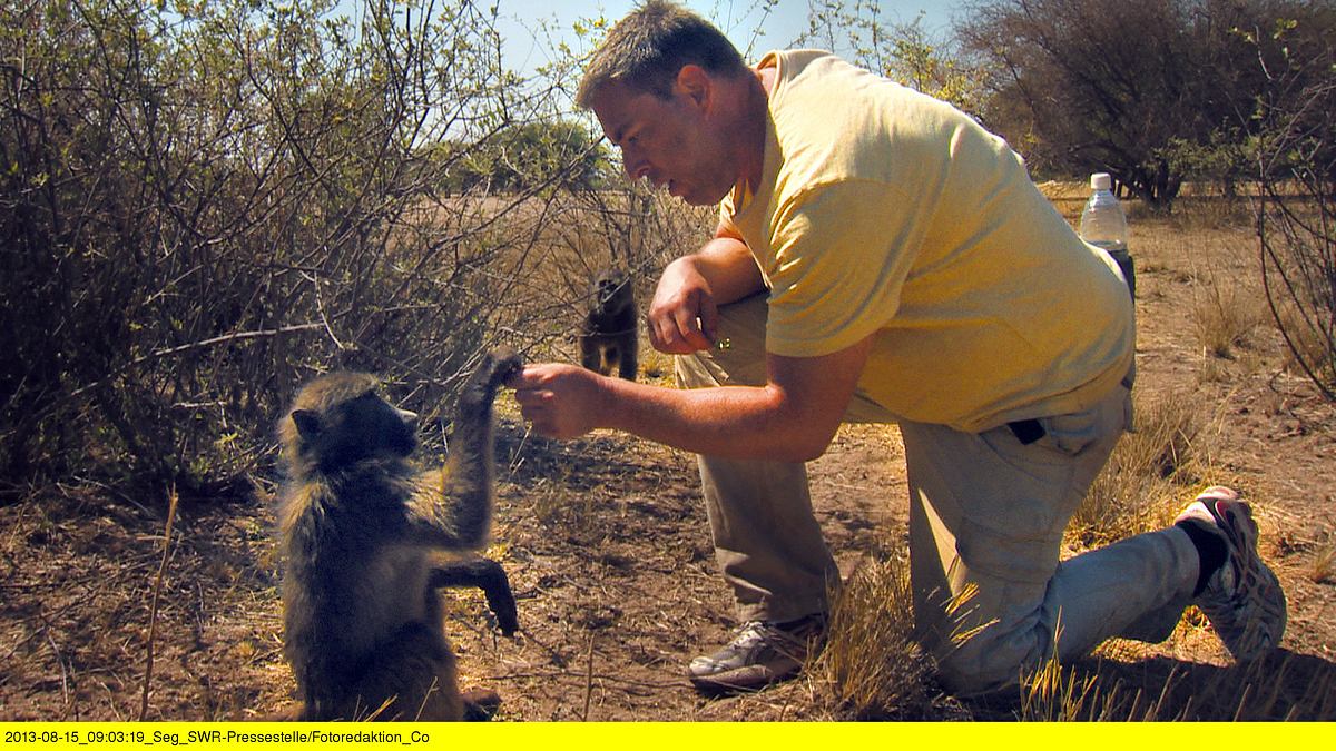 das waisenhaus für wilde tiere - abenteuer afrika