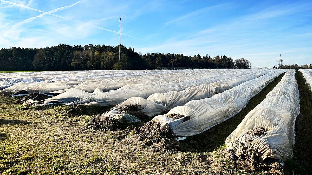 helden der landwirtschaft