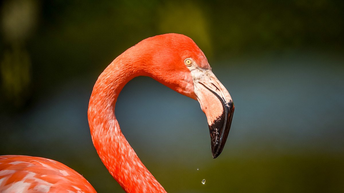 zoo und so - tierisch wild!