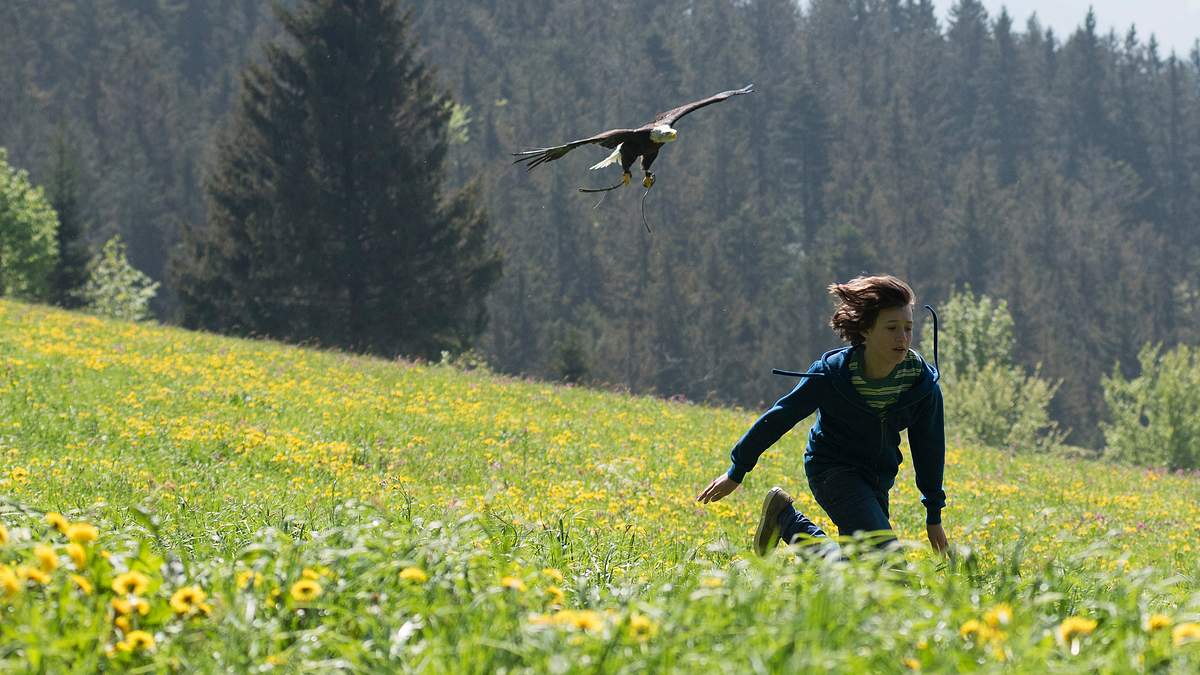 tiere bis unters dach