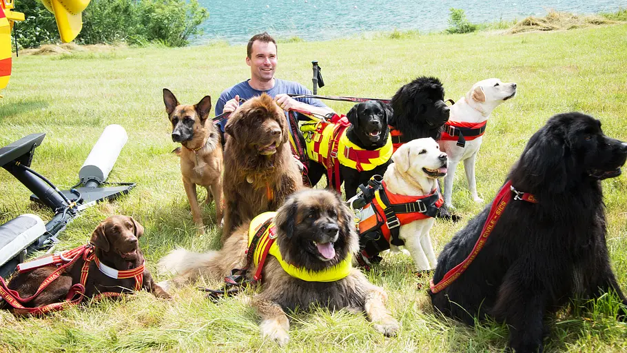 Der Hund - Des Menschen bester Freund der hund - des menschen bester freund