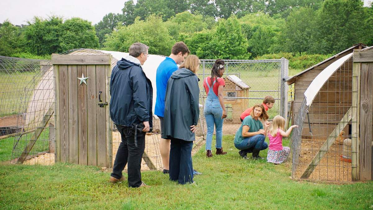 Homegrown - Aus Liebe zum Garten homegrown - aus liebe zum garten