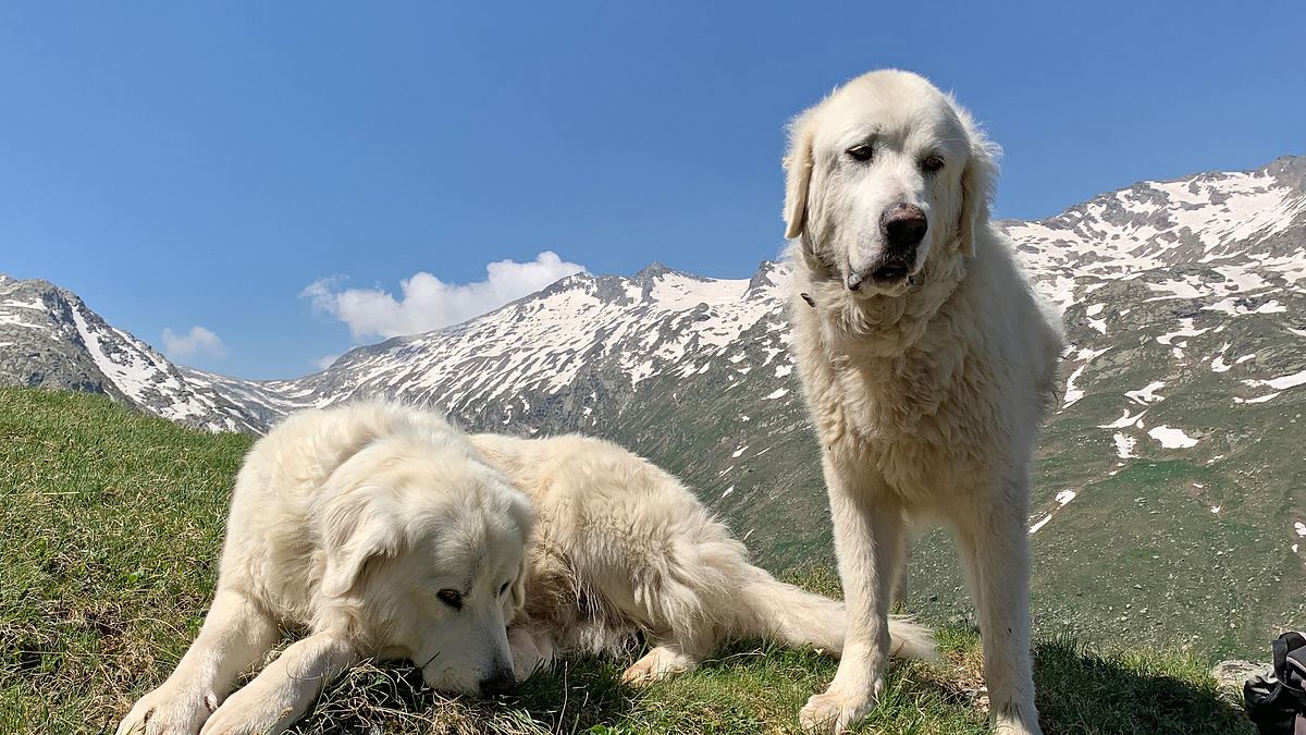 graubünden - wo die schweiz den himmel berührt