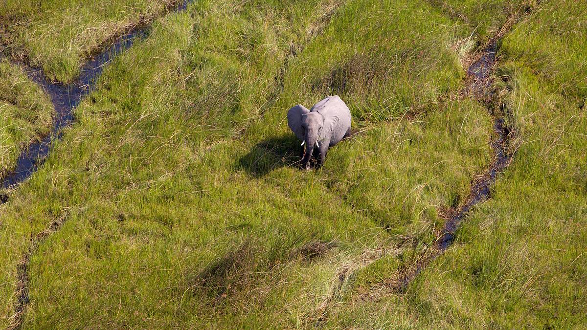abenteuer wildnis