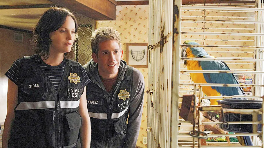 csi: den tätern auf der spur