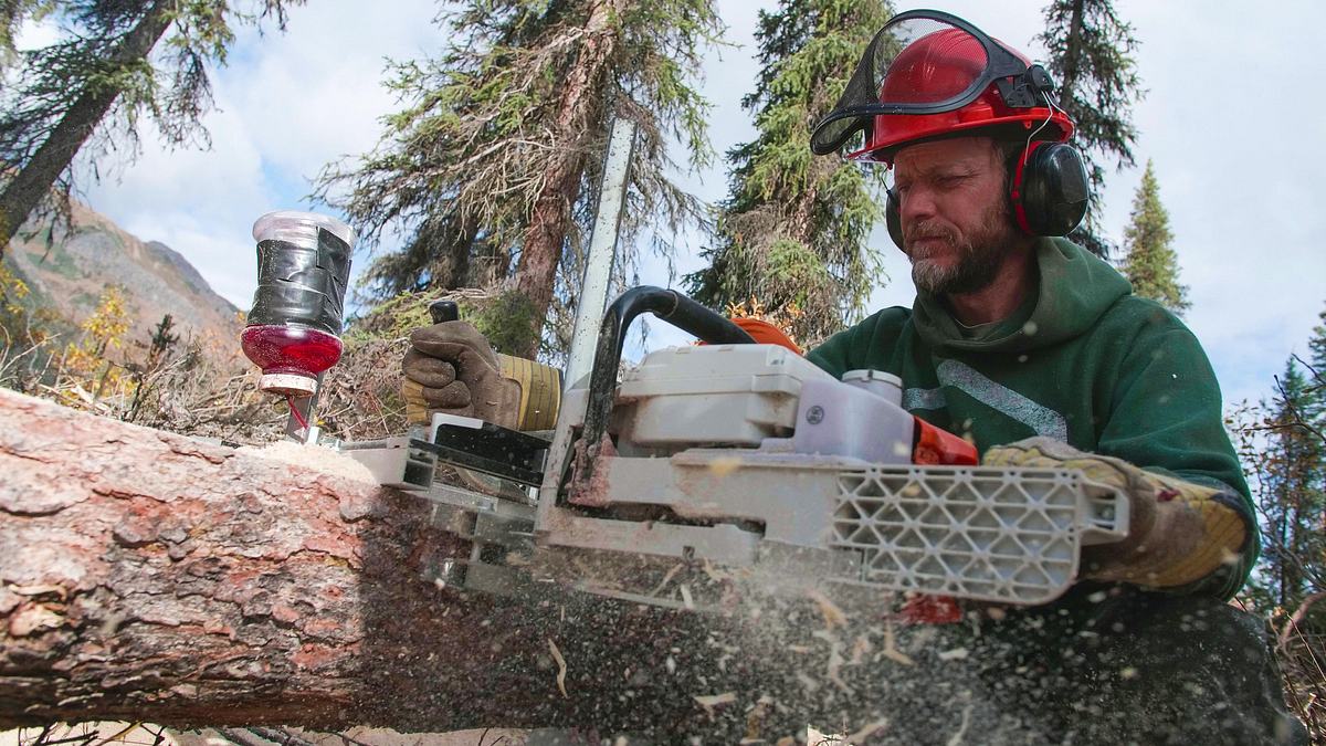 life below zero - überleben in kanada