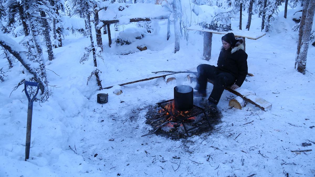 nordalaska - überleben am polarkreis