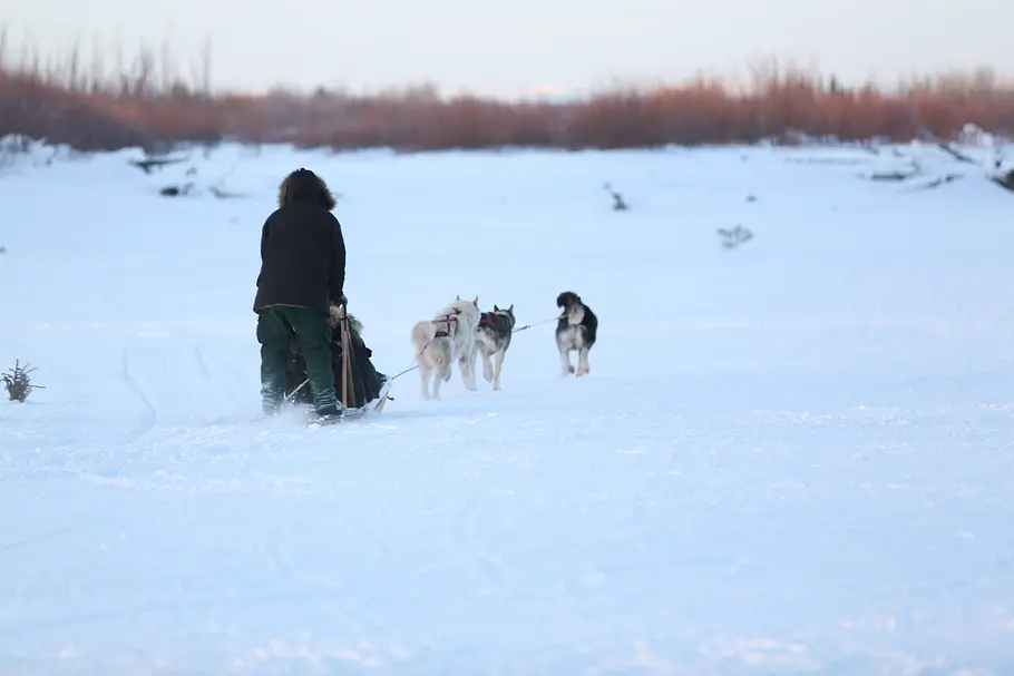 Nordalaska - Überleben am Polarkreis nordalaska - überleben am polarkreis