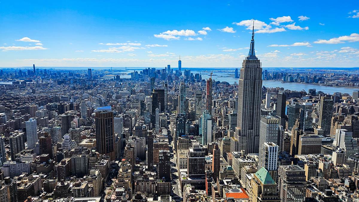 new york homicide